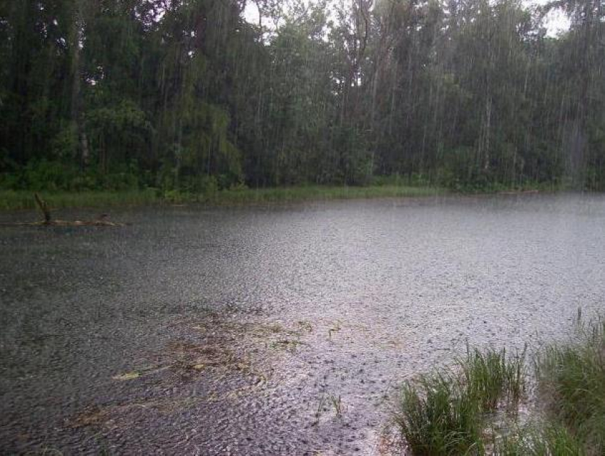 МЧС объявило штормовое предупреждение из-за обильных дождей в Воронежской области