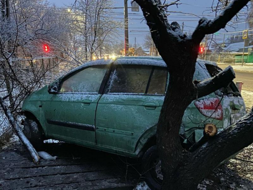 Врезался в дерево и сбежал: пьяный воронежец устроил переполох в Северном 