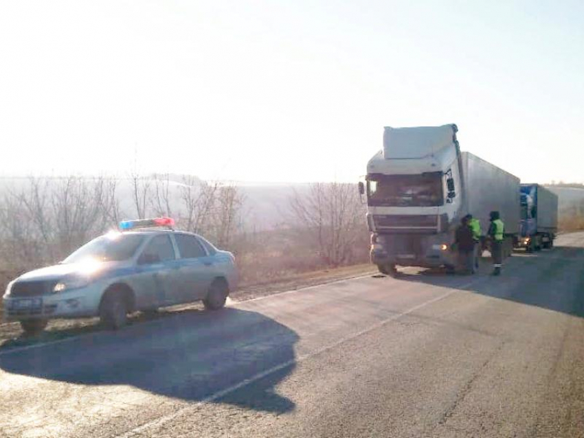 Полицейские спасли 20 тонн хурмы на воронежской трассе 