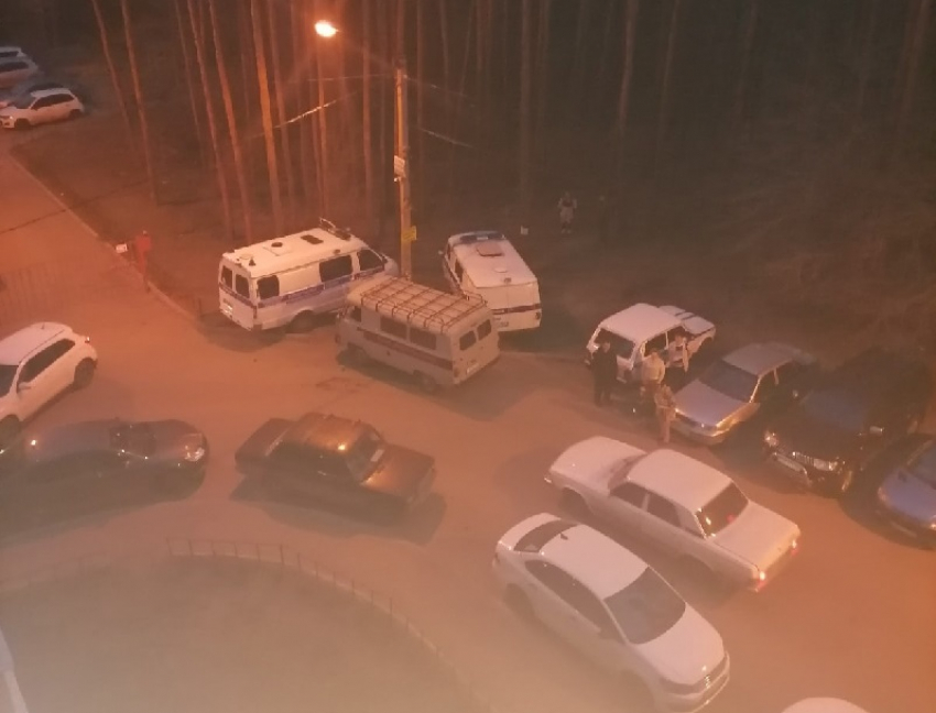 Мужчина забил товарища до смерти во время попойки в Воронеже 