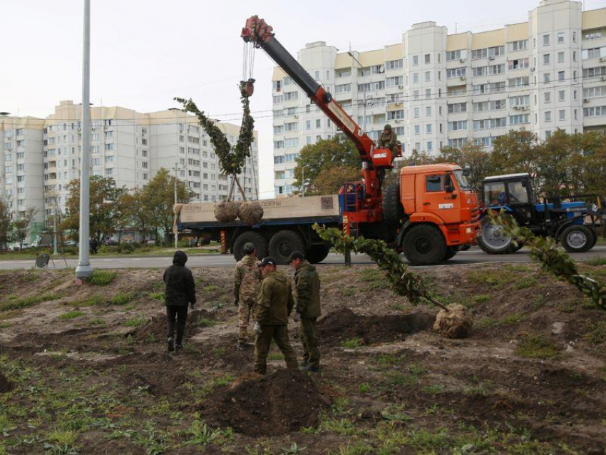 Масштабным озеленением завершат благоустройство улицы в Воронеже