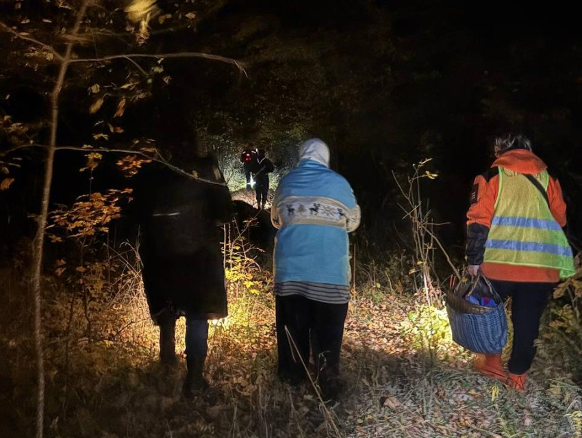 «Кто здесь?»: воронежская бабушка провела ночь в овраге