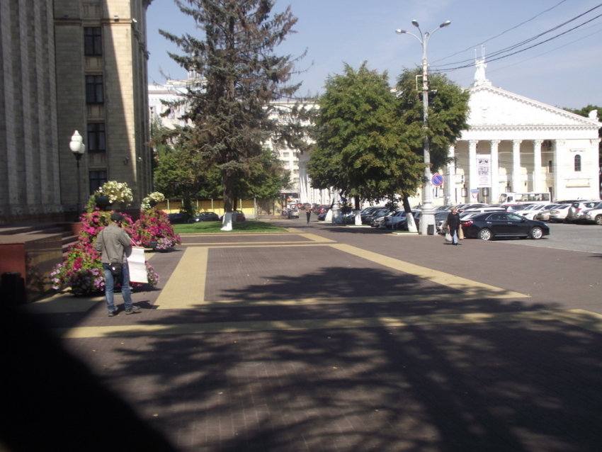 В Воронеже пикетируют здание правительства области
