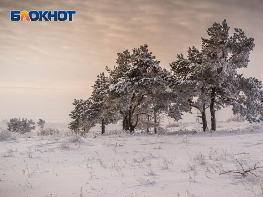 ДПСники снова попросили воронежцев не выезжать на дороги из-за погоды