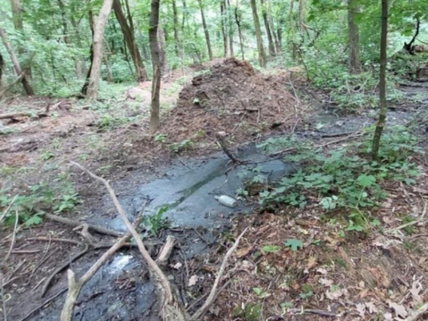 Экологи подсчитали ущерб, причиненный выбросом опасных сточных вод под Воронежем