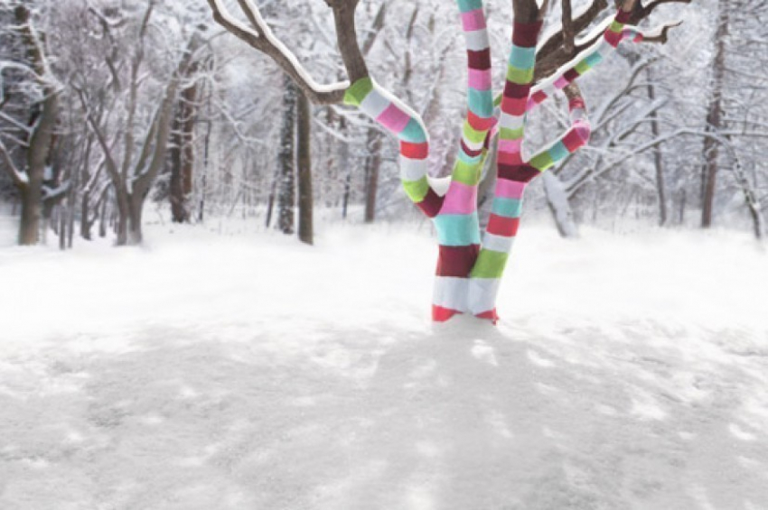 В Воронеже Кольцовский сквер «завяжут» рукодельницы