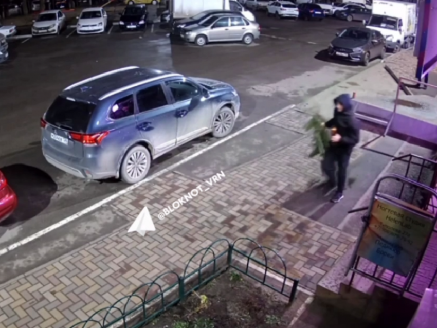 Похититель новогоднего настроения замечен в Воронеже 
