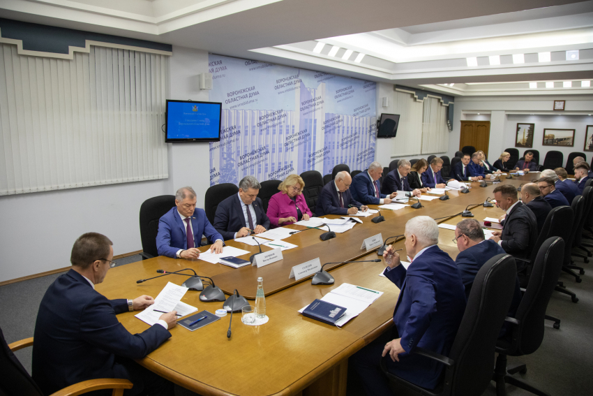 Почему в «непарламентский» день пройдет заседание Воронежской облдумы 
