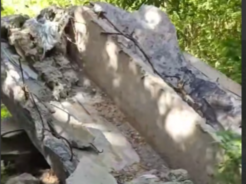 Груды строительного мусора вышли против воронежского леса