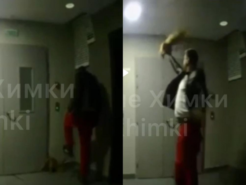 Воронежский актер жестоко избил кота и попал на видео