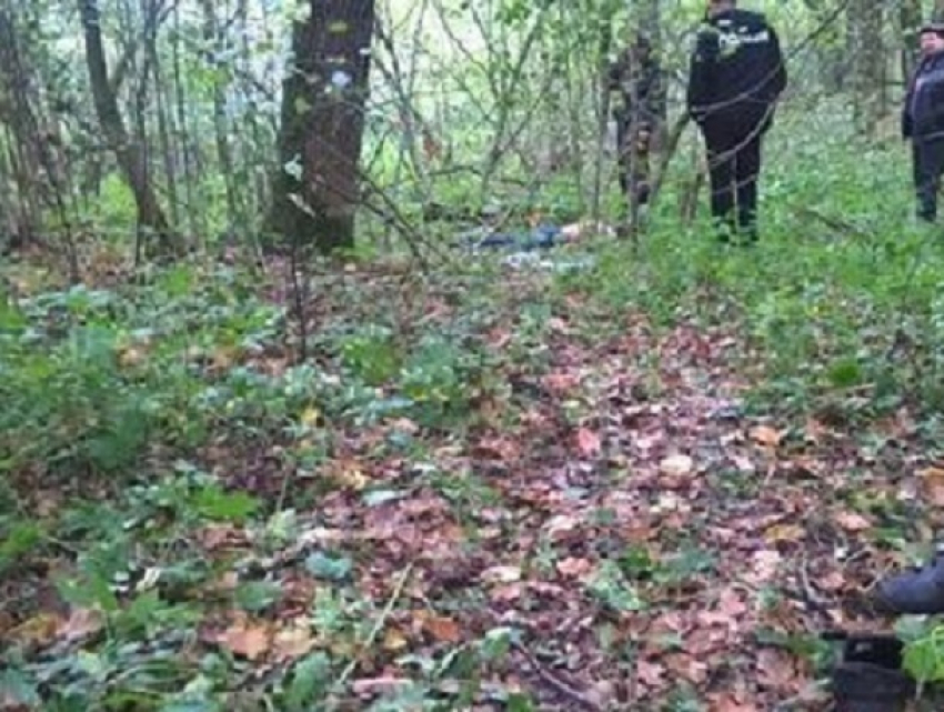 Тело убитой 14-летней девочки нашли в лесу в Воронежской области