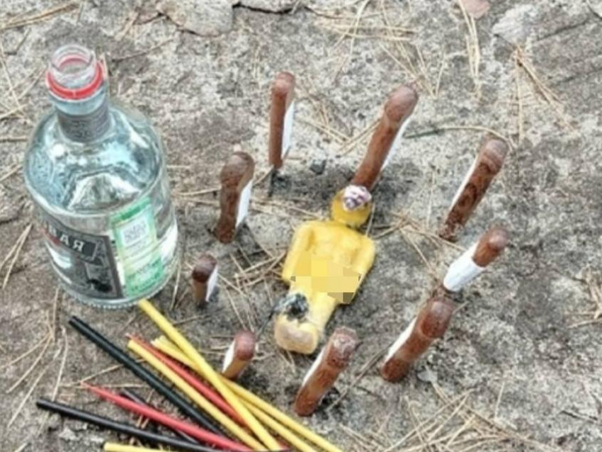 Свечи, ножи и человек: загадочную находку сделали грибники под Воронежем