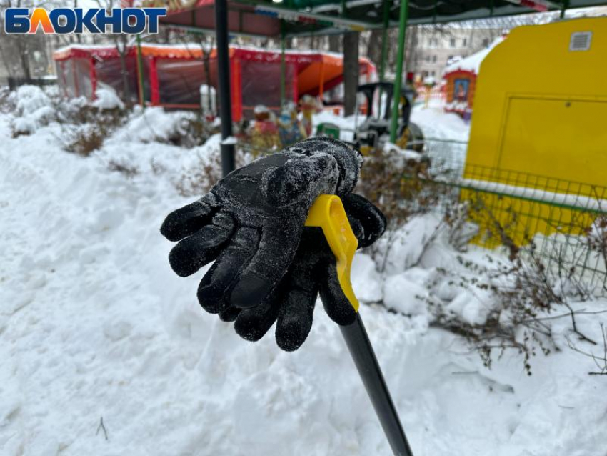 Сколько работодатели должны платить в новогодние праздники, напомнили воронежцам в Роструде