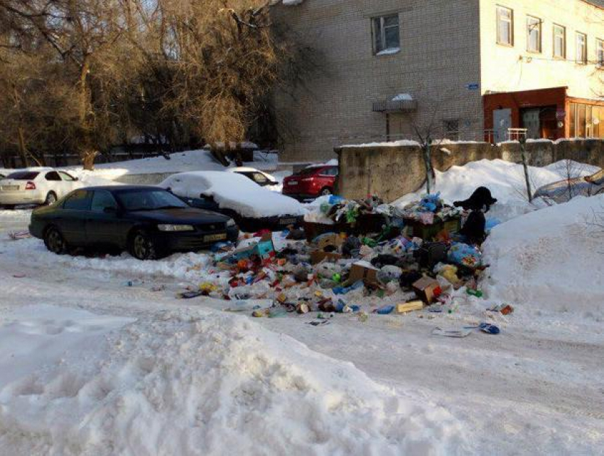 Простые воронежцы пригласили власти города на помойку