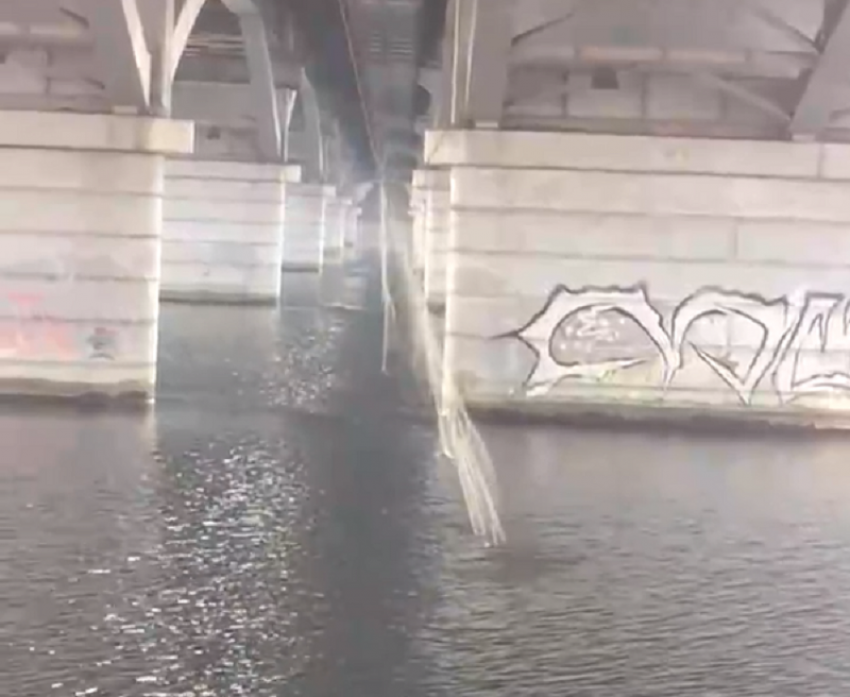 Отчаянные рыбаки попытали свое счастье на Воронежском водохранилище