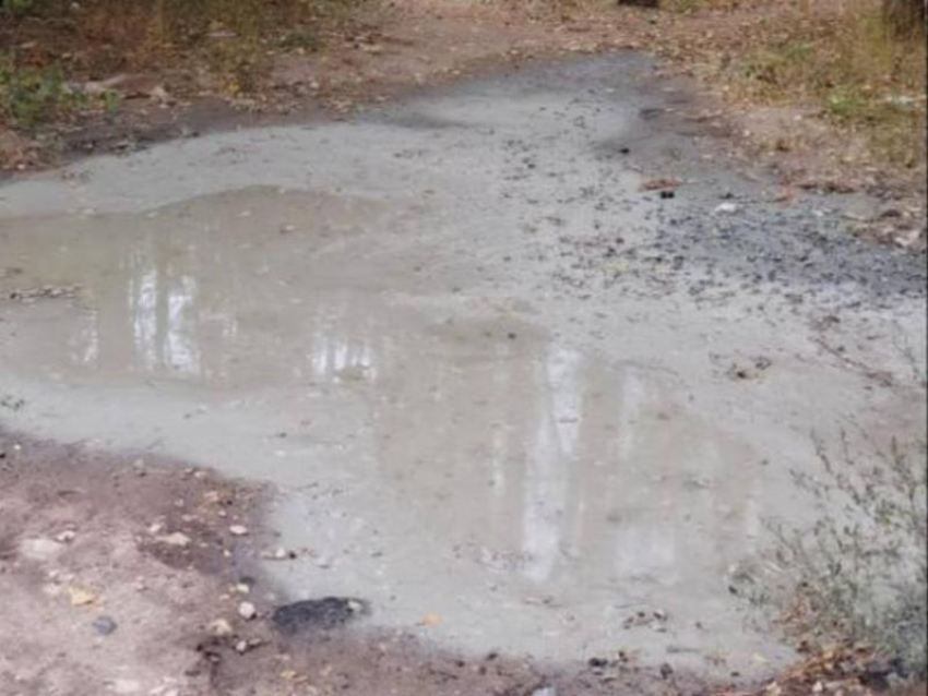 Воронежская полиция нашла виновного в сливе бетона в Северном лесу