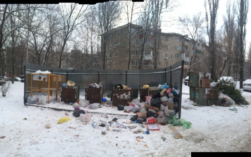 На скандальной мусорке по Хользунова в Воронеже коммунальщики взялись за старое