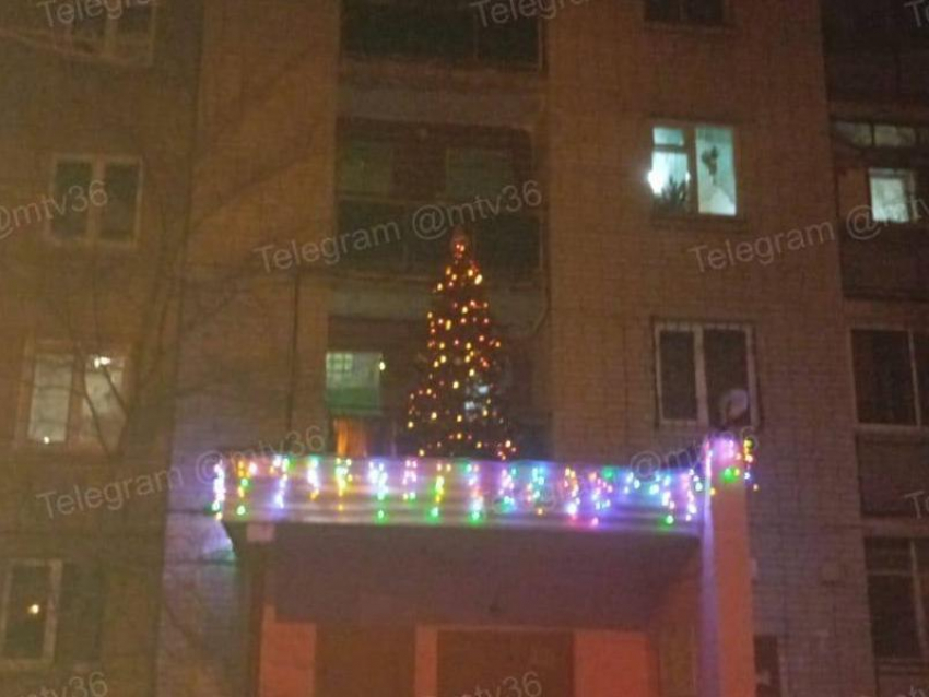 Елку заметили в неожиданном месте в Воронеже