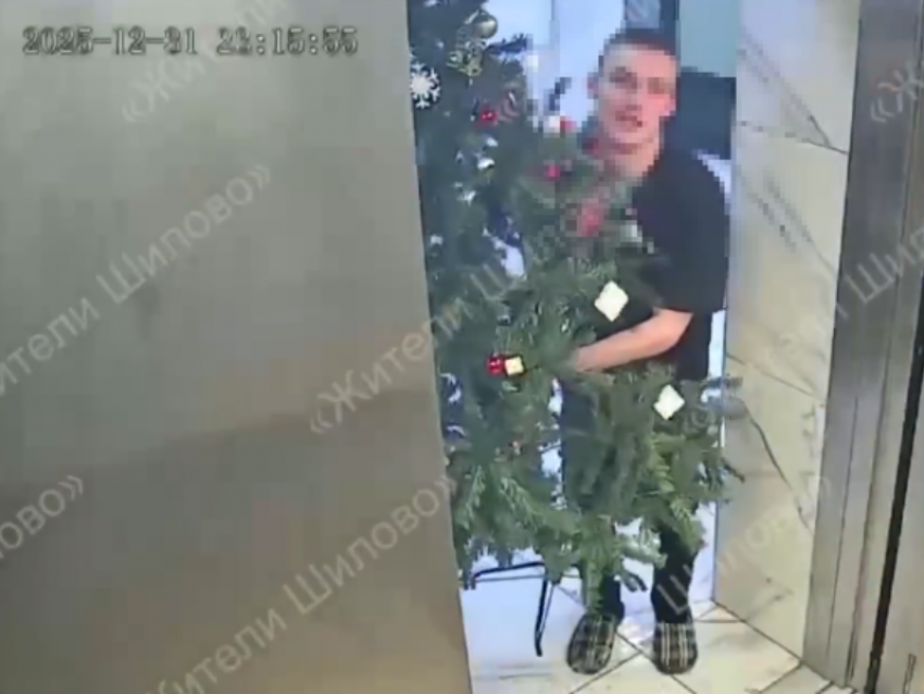 Неожиданный поступок совершили два Гринча в Воронеже 