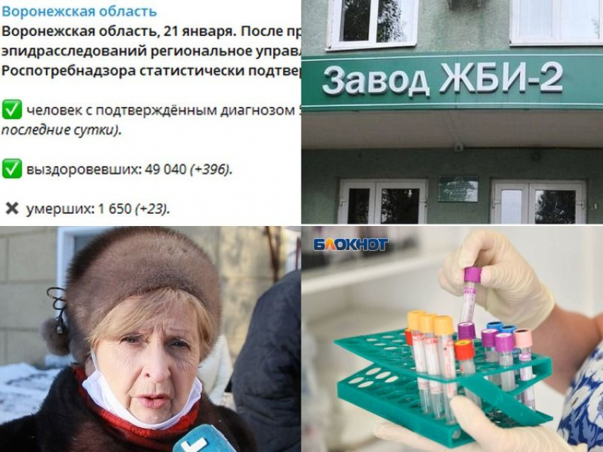 Коронавирус в Воронеже 21 января: +386 зараженных, склонение к вакцинации и «ключ к победе» над ковидом