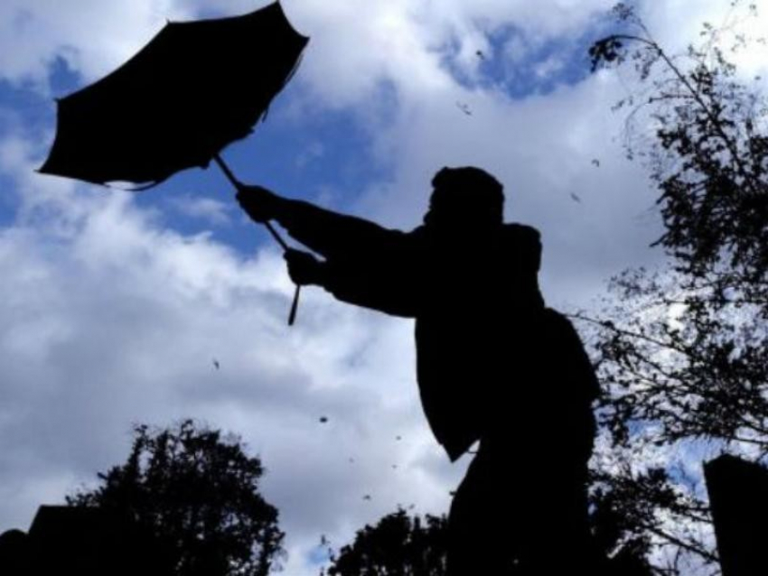 МЧС предупредило воронежцев об отвратительной погоде  