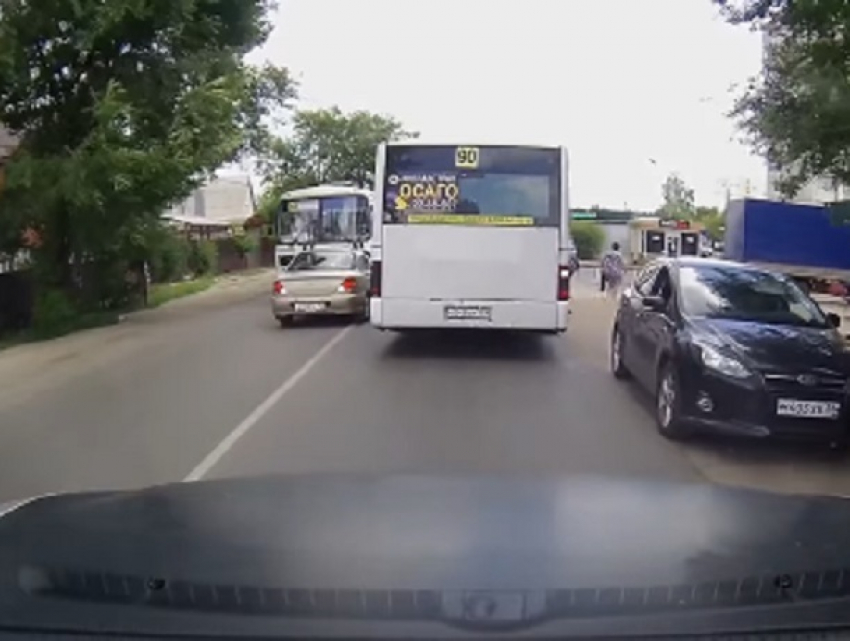 Пугливого нарушителя сняли на дороге в Воронеже 