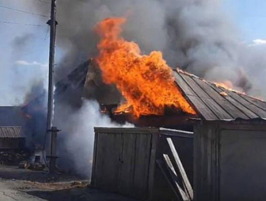 Две девочки пострадали на пожаре в Воронежской области
