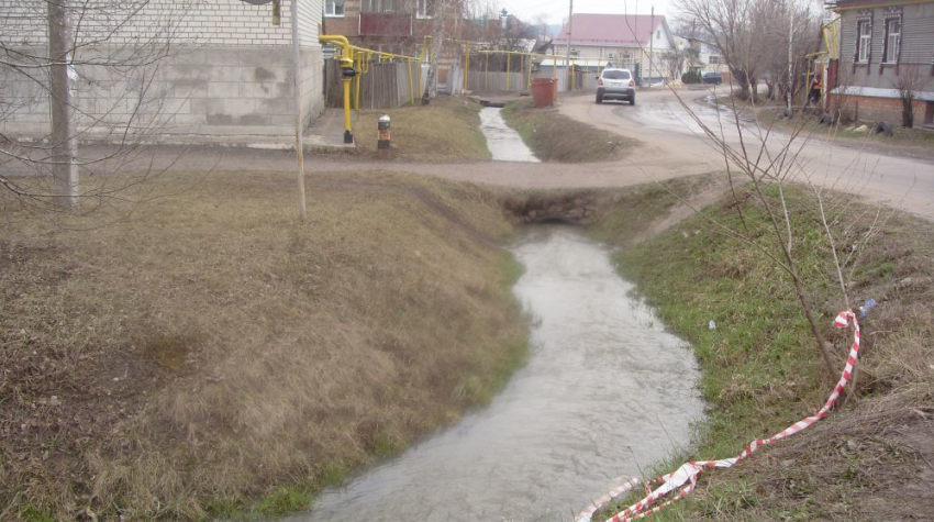 В Борисоглебске устранили последствия экологического бедствия и наказали виновных