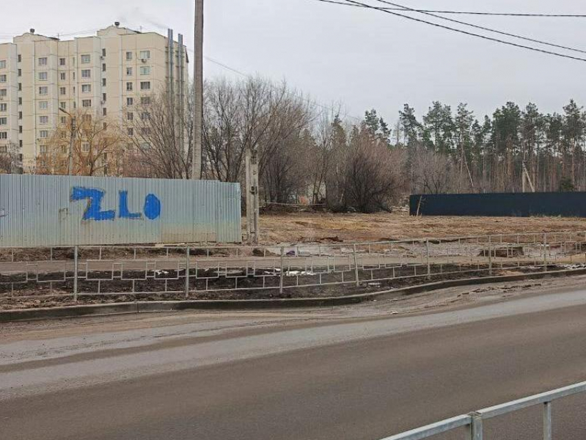 "Приунывшая» дорога смутила жителей Воронежа