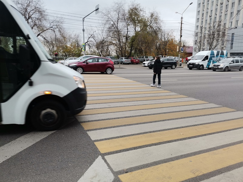 Создать «перепись» опасных переходов попросили воронежское правительство