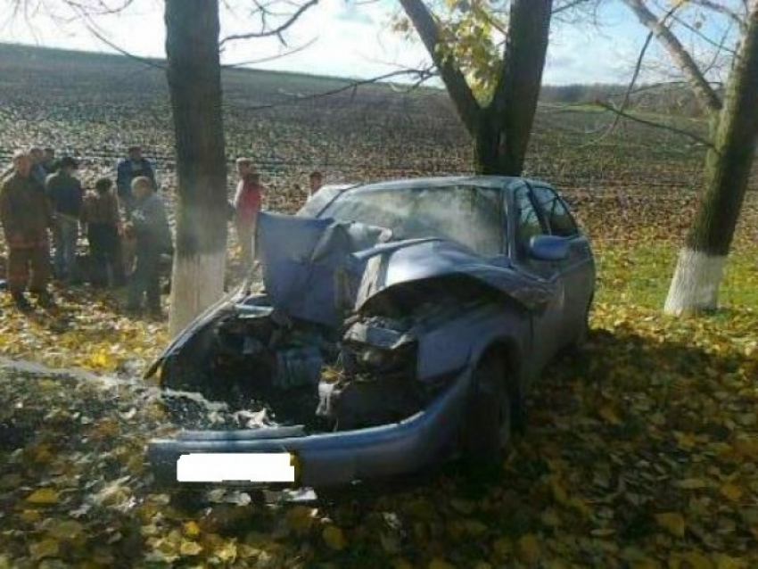 В Воронежской области при столкновении «ВАЗ-2110» с деревом пострадали два человека