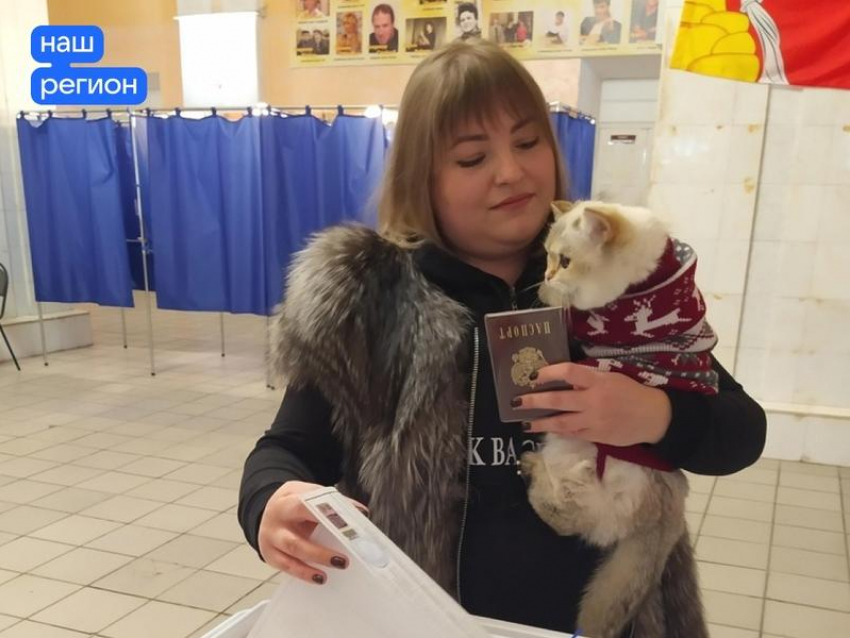 Самого милого «избирателя» запечатлели на фото в Воронежской области