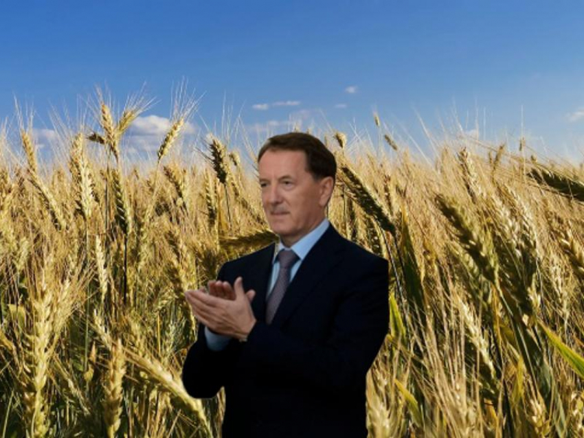 Алексей Гордеев сообщил сводку с воронежских полей