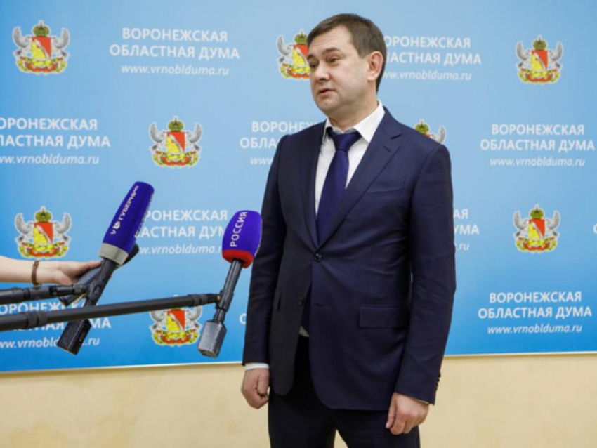 Минута созерцания Владимира Нетёсова и его облдумы обойдётся воронежцам дороже 65 тысяч рублей