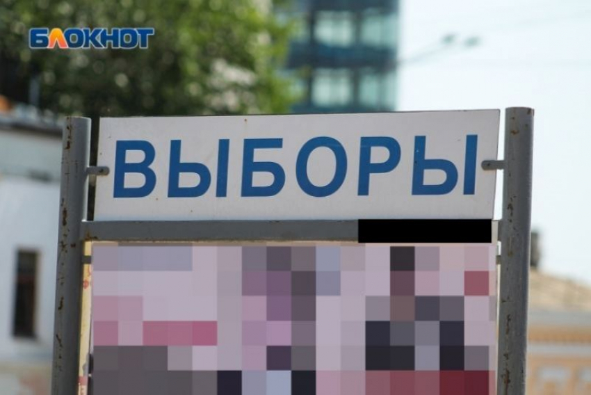 Больше 7 тыс заявок за два дня поступило на участие в дистанционном голосовании в Воронежской области