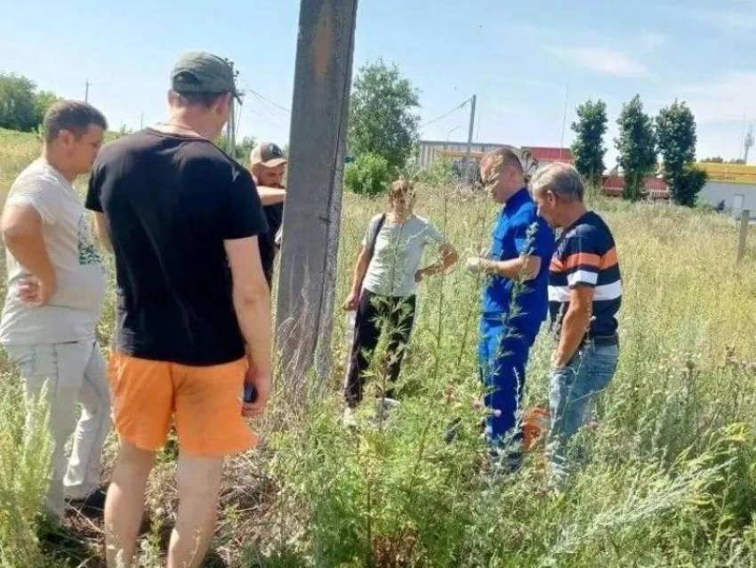  Обессилевшую 80-летнюю бабушку спасли спустя сутки в Воронежской области