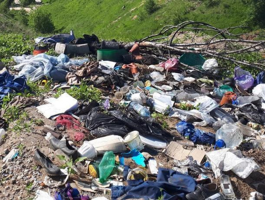 Залежи мусора и смрада под Воронежем показали на фото