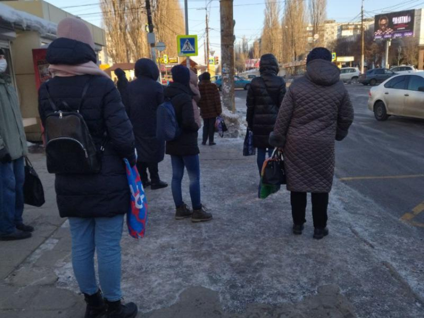 Общественники назвали причины маршруточного коллапса в Воронеже