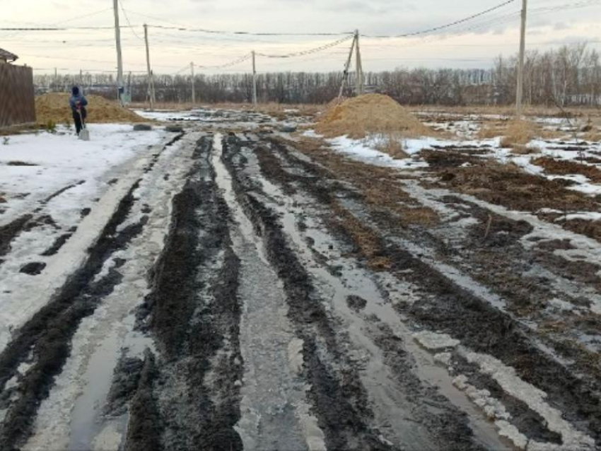 Прокуратура дала пинка чиновникам, которые прекратили переписку с многодетной мамой под Воронежем