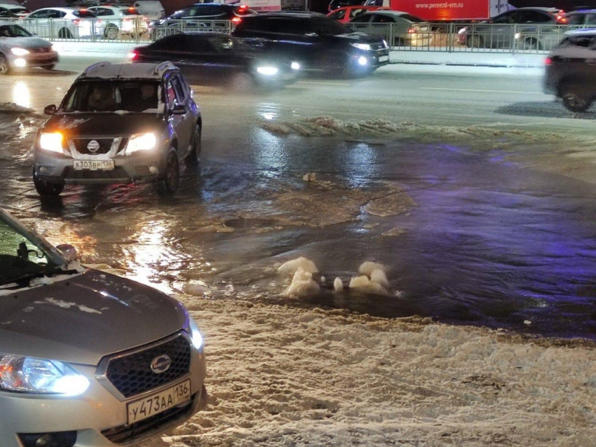 Многострадальную улицу Шишкова в Воронеже вновь залило канализацией