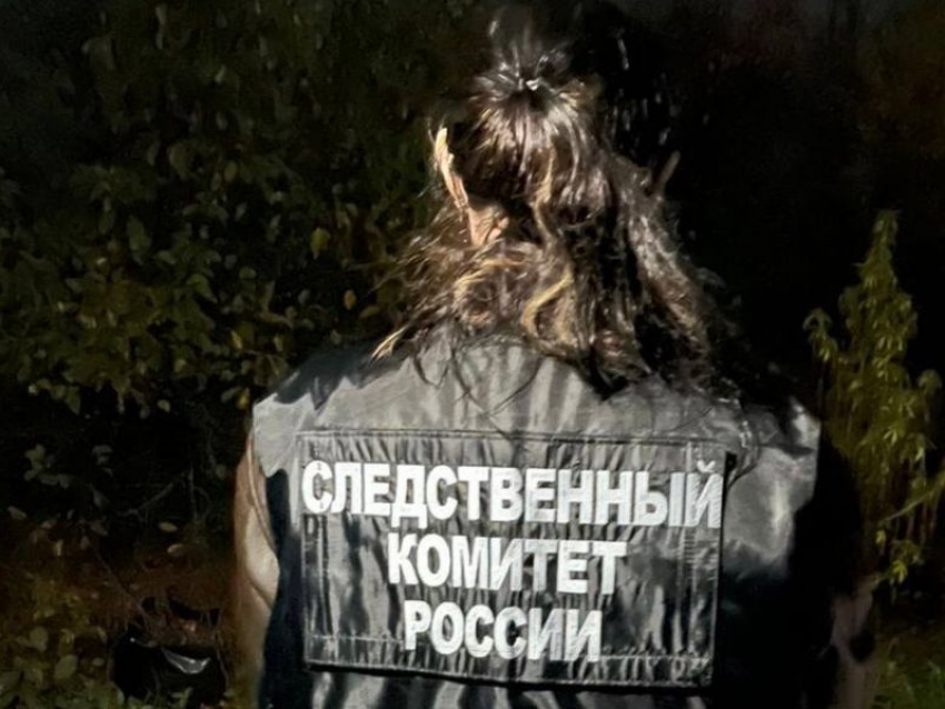 Сельчанин забил знакомого топором и ножом в ходе ссоры в Воронежской области