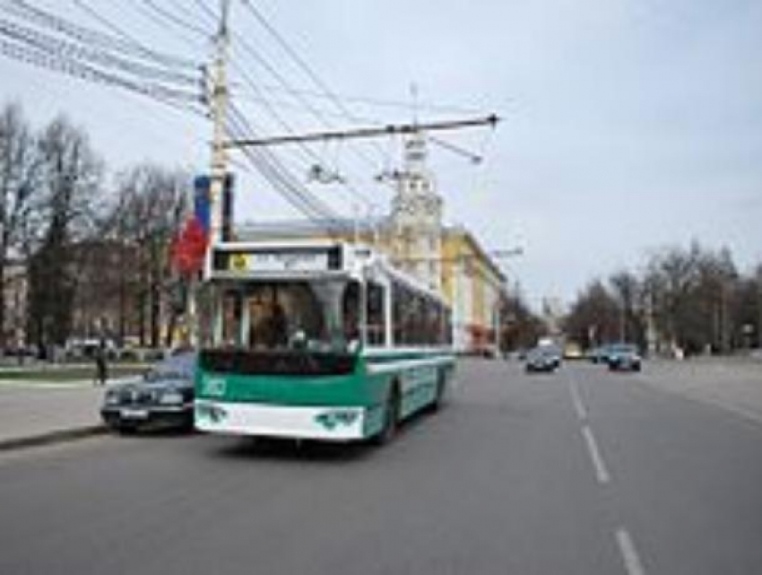 В Воронеже два троллейбуса временно перестанут ходить 