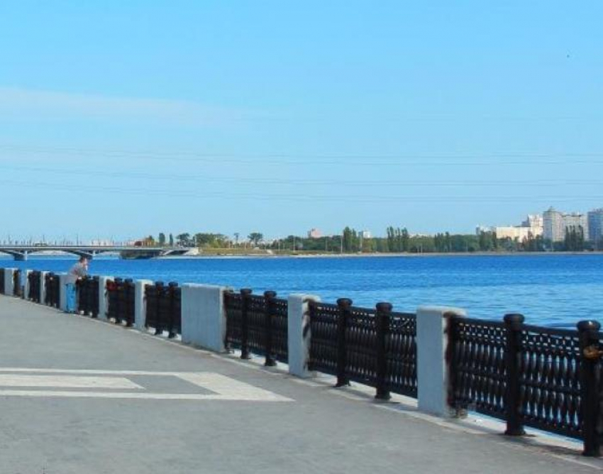 Судьба Петровской набережной Воронежа решится до конца года