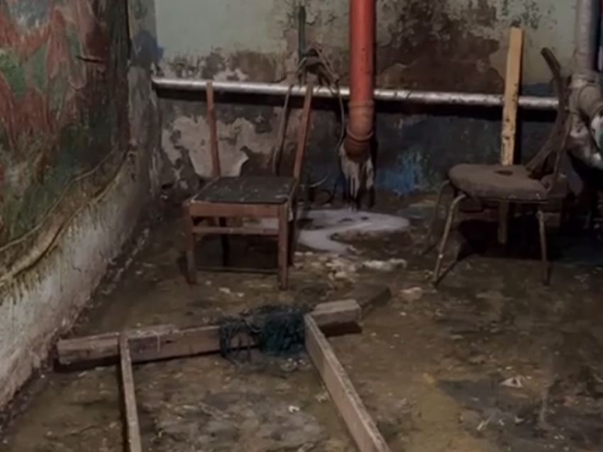 Трофима и Стаса Михайлова затапливает фекалиями в воронежском подвале