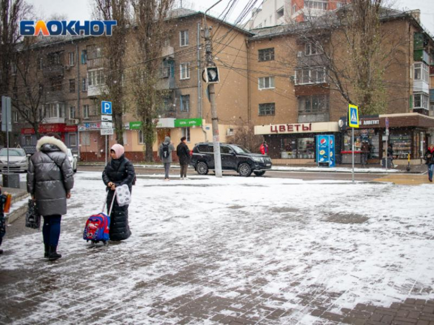 Ждать ли воронежцам снега в декабре, рассказал главный метеоролог страны 