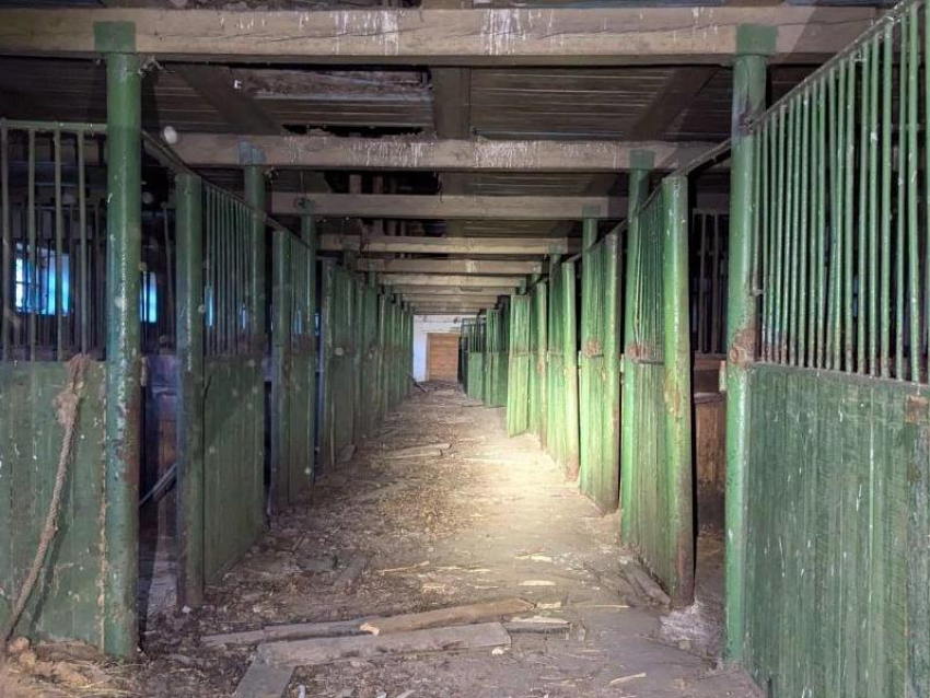 Искали в заброшенной конюшне и реке: как проходили поиски 11-летнего мальчика в Воронежской области