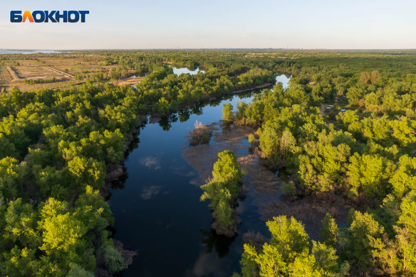 В 174 млн оценили ущерб от пожара в Воронежском заповеднике