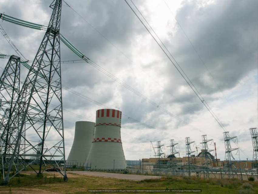 «Медленно умирает на высоте 6 этажа»: удивительная история «атомного» аиста из Нововоронежа 