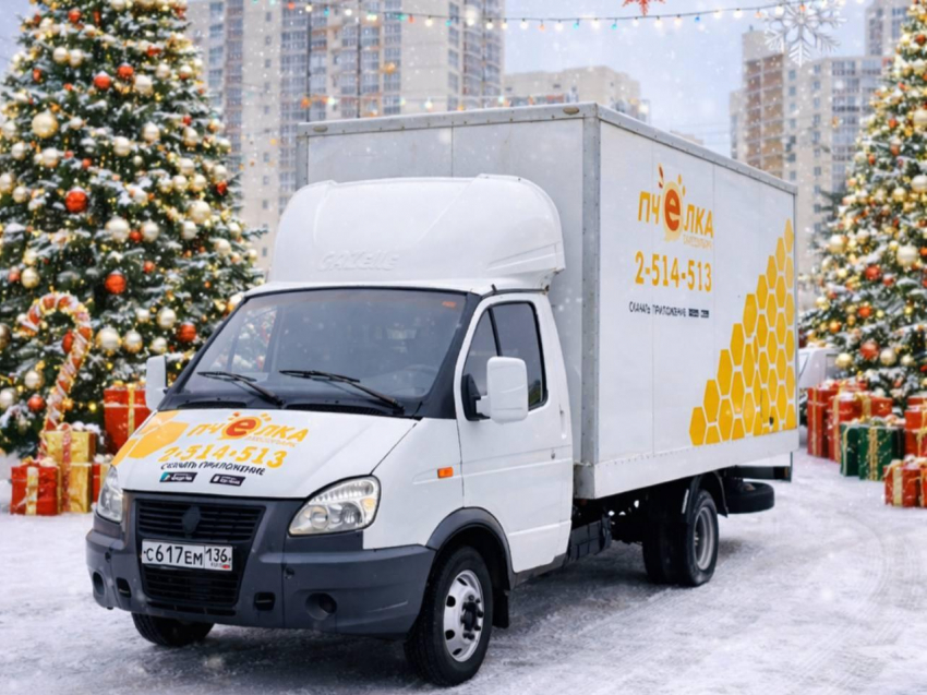 Воронежцы, поздравляем с наступающим Новым годом и Рождеством! 