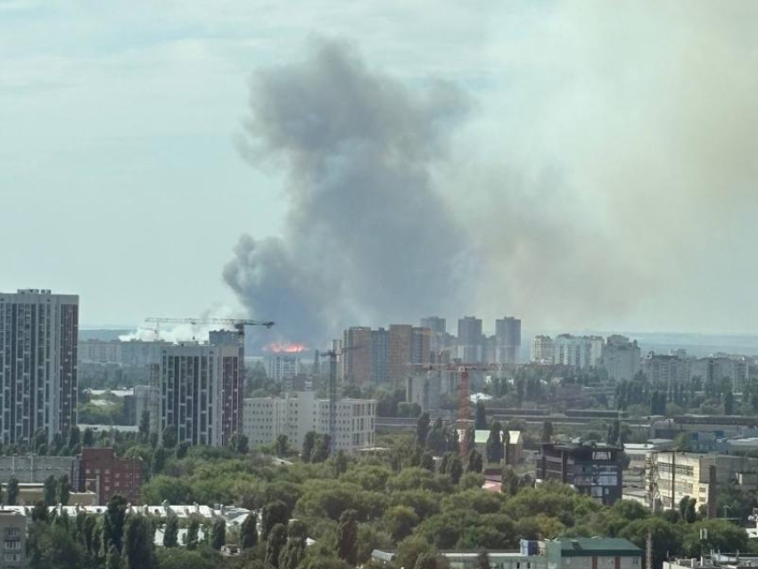 Зарево пожара и сильный запах гари настигли воронежцев в первый учебный день